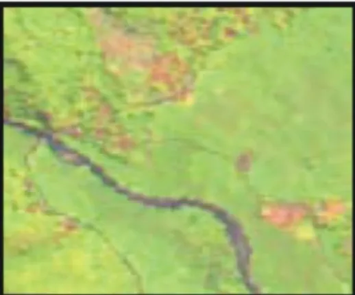 Gambar 2.2 Citra Satelit Multispectral 