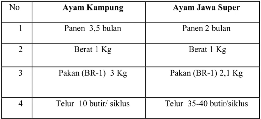 Tabel 1.4. Perbedaan Produksi Ayam Kampung dan Ayam Jawa Super  