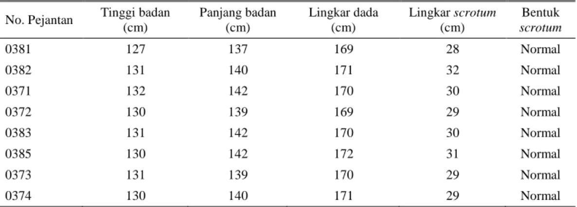 Tabel 1. Ukuran tubuh dan kondisi scrotum pejantan sapi Madura introduksi  No. Pejantan  Tinggi badan 