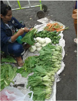 Gambar 15: Seorang penjual sayur yang sedang menyusun sayurannya untuk dijual. Dia sibuk membereskan sayurannya  