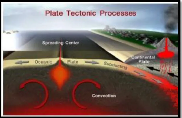 Gambar 1. Proses tektonik (Anonymuos, 2006).  