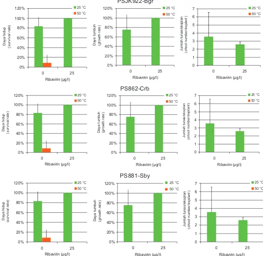Gambar 5. Pengaruh  perlakuan  termoterapi  dan  khemoterapi  terhadap  daya  hidup  dan  daya  regenerasi  meristem  tebu  PSJK922-Bgr (A), PS862-Crb (B), dan PS881-Sby (C), 4 MST.