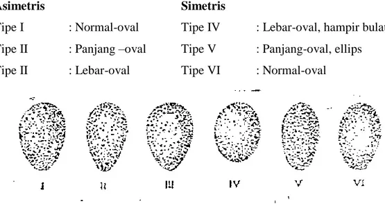 Gambar  klasifikasi  bentuk  telur  menurut  Hogeerwerf  (1949),  dalam  Rukmi (2002) dapat dilihat pada Gambar 3