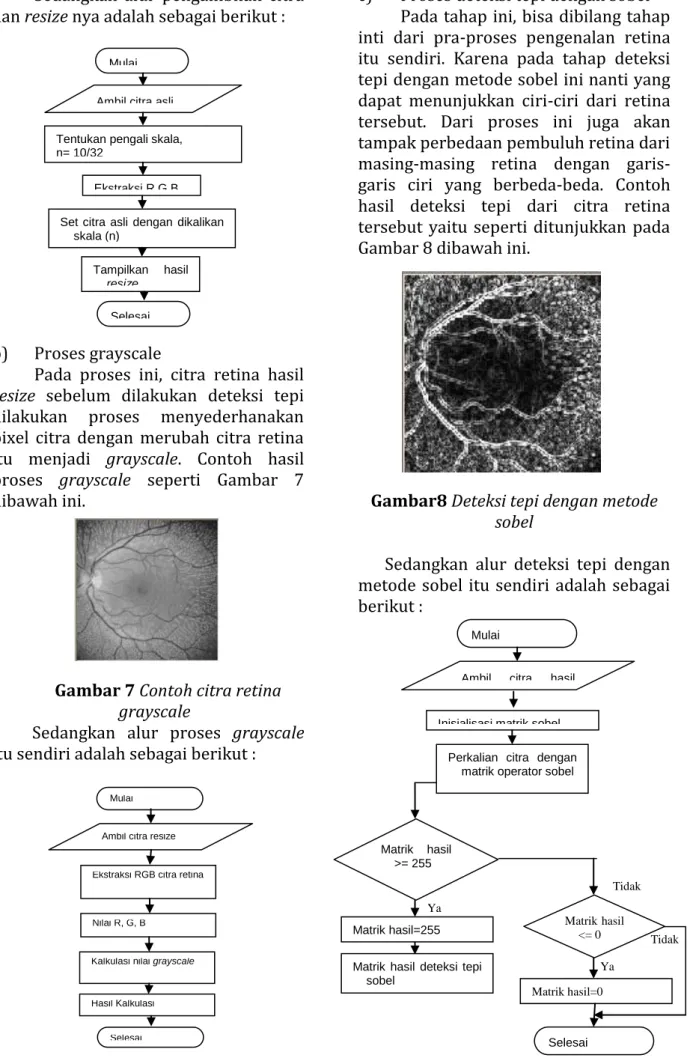 Gambar 7 Contoh citra retina  grayscale 