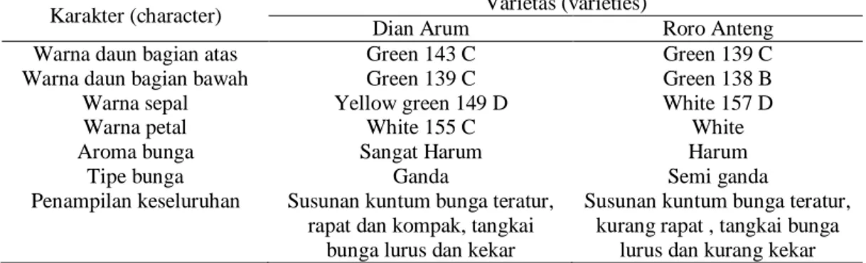 Tabel 2. Hasil pengamatan karakter kualitatif varietas Dian Arum dan Roro Anteng  