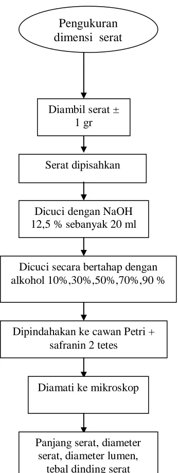 Gambar 2. Bagan pengukuran dimensi serat 