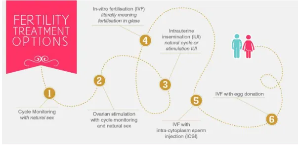 Gambar  1 Pilihan Program Fertilitas 