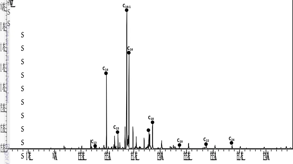 Gambar 9.  Total ionic current metil esters asam lemak diatom Chaetoceros gracilis dengan pelarut heksanC24C22C20C18C16C16:1C14C15C13