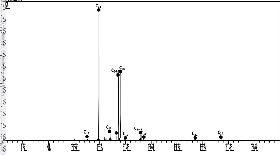 Gambar 10.  Total ionic current metil esters asam lemak diatom Skeletonema costatum dengan pelarut klorofomC24C22C18C18:1C17C16C16:1C15C14C13