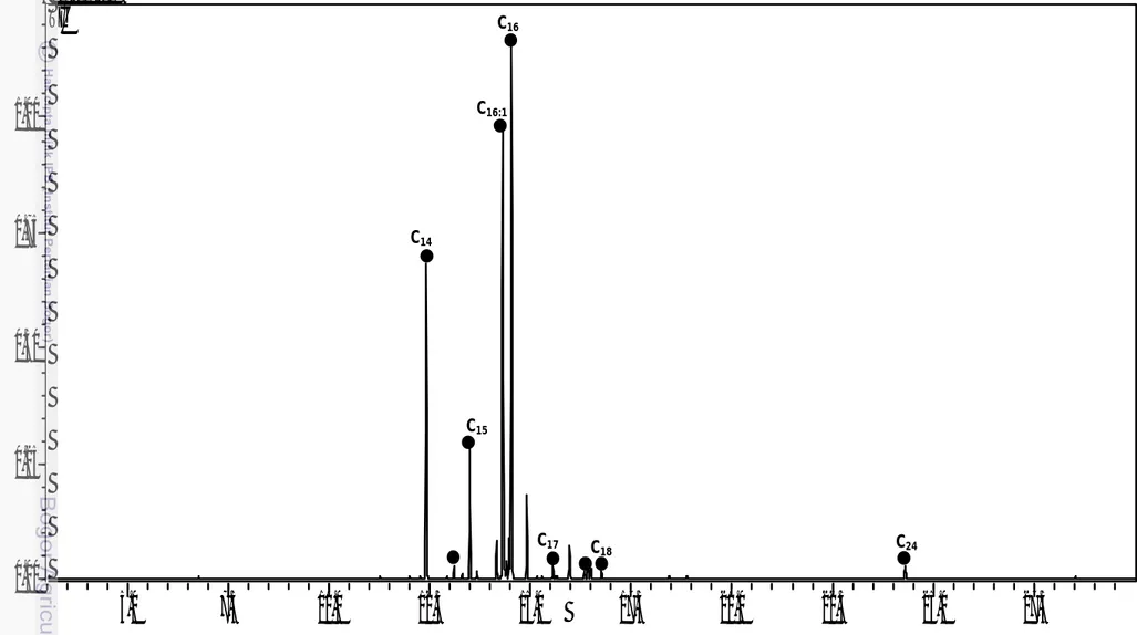 Gambar 12.  Total ionic current metil esters asam lemak diatom Thalassiosira sp. dengan pelarut klorofom C18C17C16C16:1C15C14C24