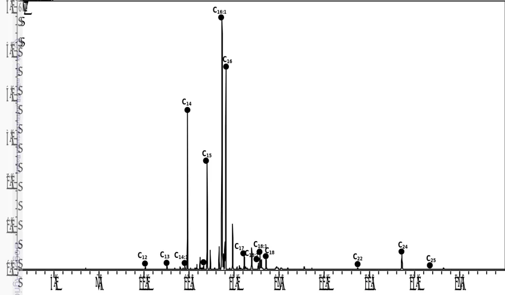 Gambar 13.  Total ionic current metil esters asam lemak diatom Thalassiosira sp. dengan pelarut heksan C25C24C22C18C18:1C18:2C17C16C16:1C15C14C14:1C13C12
