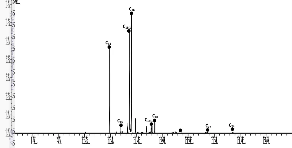 Gambar 8.  Total ionic current metil esters asam lemak diatom Chaetoceros gracilis dengan pelarut klorofom C24C22C18C18:1C16C16:1C15C14