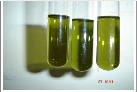 Gambar 1-  Hasil analisis kualitatif steroid dengan uji warna 