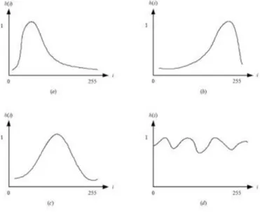 Gambar 6. Kurva Histogram   . 