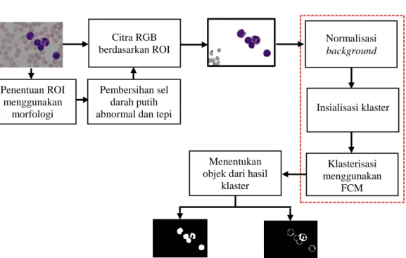 Gambar 3.2 Diagram sistem segmentasi sel darah putih citra   mikroskopis leukemia Penentuan ROI menggunakan morfologi  Normalisasi background  Insialisasi klaster Citra RGB berdasarkan ROI Klasterisasi menggunakan FCM Menentukan 