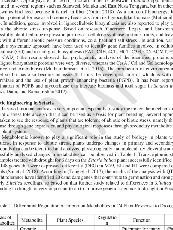Table 1. Differential Regulation of Important Metabolites in C4 Plant Response to Drought stress  Class of 
