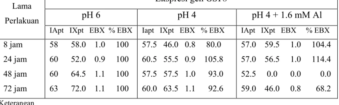 Tabel 6. Ekspresi baku gen GST8 pada kultivar Slamet (Mashuda 2007)  Ekspresi gen GST8  