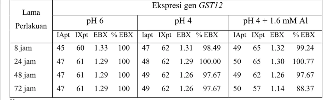 Tabel 7. Ekspresi baku gen GST12 pada perlakuan pH 4 dan pH 4+1.6 mM Al  dibandingkan pH 6 