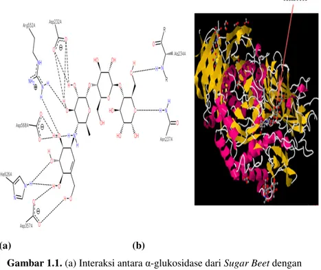 Gambar 1.1. (a) Interaksi antara α-glukosidase dari Sugar Beet dengan  Acarbose, (b) Struktur Sekunder dari Interaksi antara α -glukosidase dari 