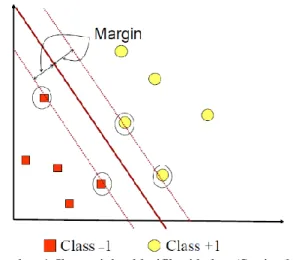 Gambar 4. Ilustrasi dua klasifikasi kelas. (Satriyo N,  Budi Witarto, and Handoko 2003)