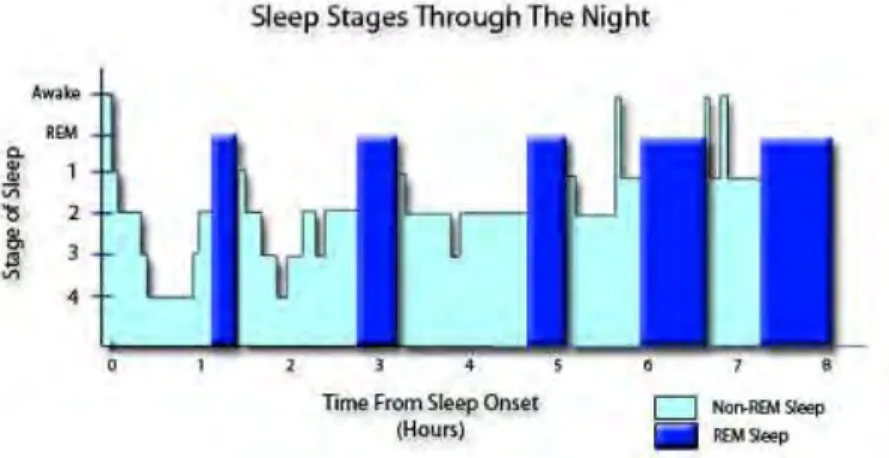 Gambar  2.3  menunjukkan  selama  tidur,  seseorang  biasanya  melewati  setidaknya  3  tahapan  dalam  NREM  sebelum  masuk ke fase REM