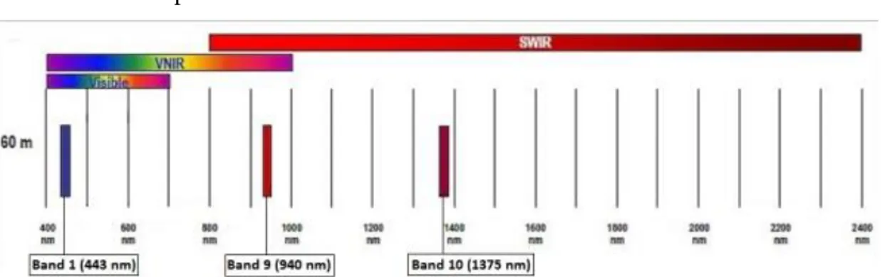 Gambar II.6 Resolusi spasial band : B1 (443 nm), B9 (940 nm) and B10 (1375 nm)  (https://earth.esa.int) 