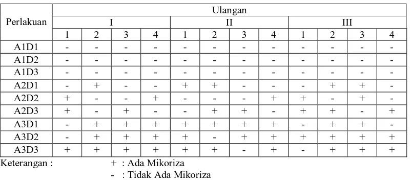 Tabel 4. Keberadaan mikoriza di akar pada tanaman Tembakau Deli pada pengamatan 9 mst (pengamatan terakhir)  