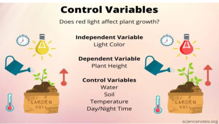 Gambar 5. Variable Kontrol 