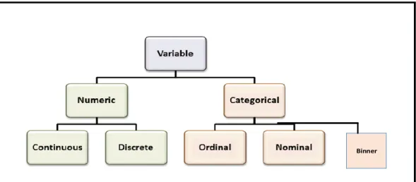 Gambar 6. Struktur Variable 