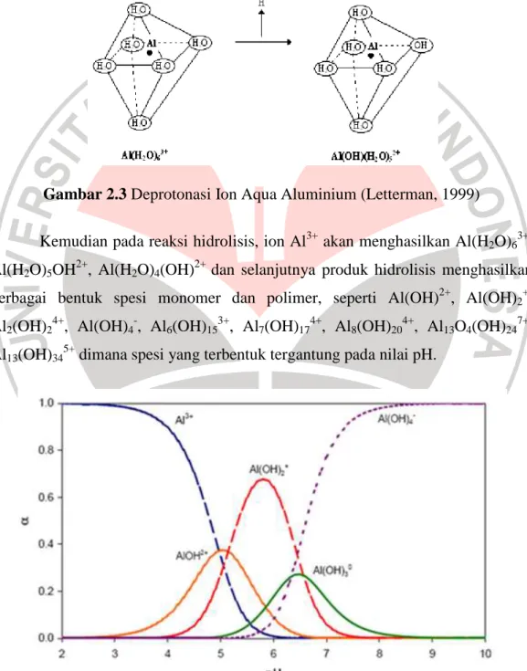 Gambar 2.3 Deprotonasi Ion Aqua Aluminium (Letterman, 1999)  