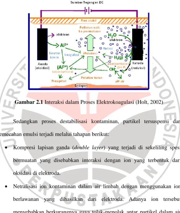 Gambar 2.1 Interaksi dalam Proses Elektrokoagulasi (Holt, 2002) 