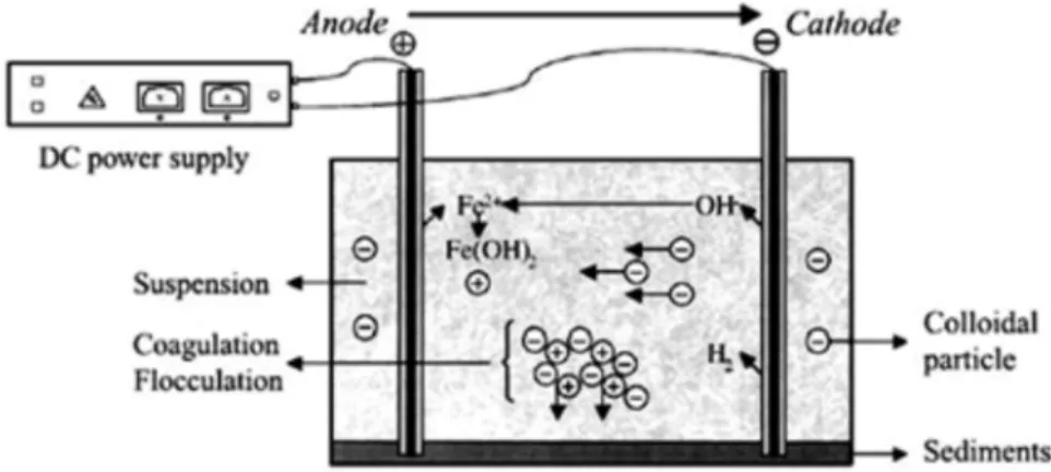 Gambar 1. Proses Elektrokoagulasi  Interaksi-interaksi yang terjadi dalam larutan yaitu: 