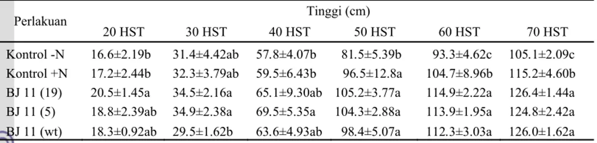 Tabel 1  Pengaruh inokulasi B. japonicum terhadap tinggi tanaman kedelai pada 20-70 hari setelah  tanam 