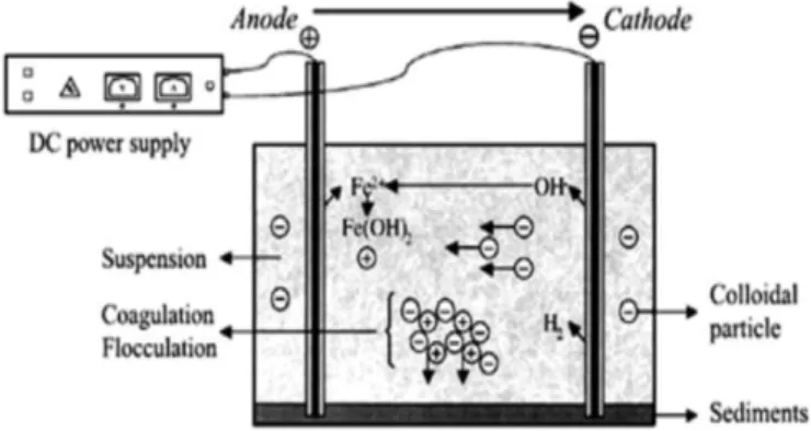 Gambar 1. Proses Elektrokoagulasi  Interaksi-interaksi yang terjadi dalam larutan yaitu: 