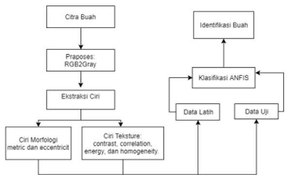 Gambar 5. Diagram metodologi identifikasi buah