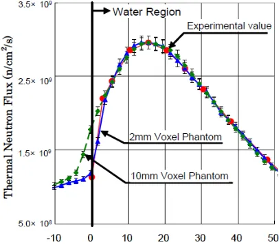Gambar 6. Pola distribusi termal fluks Neutron yang dilakukan oleh Kumada et al. (2007) 