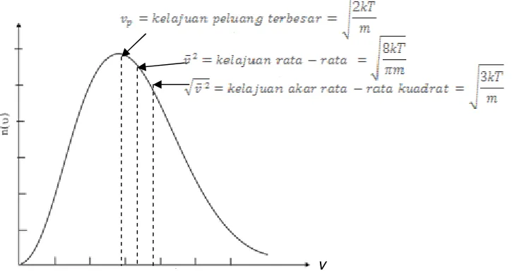 Gambar 1. Distribusi kecepatan Maxwell-Boltzmann  