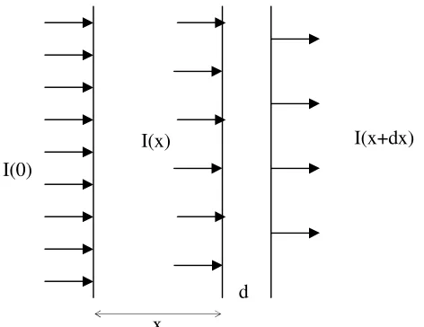 Gambar 2. Pergerakan berkas neutron searah sumbu x 