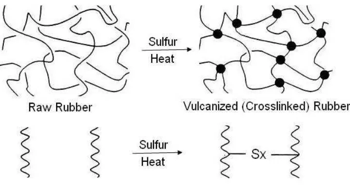 Gambar 2.9  Karet  yang Mengalami Vulkanisasi oleh Sulfur 