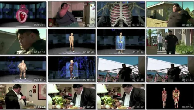 Gambar 2.3 Science in Obesity 
