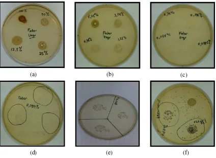 Gambar 14.Koloni bakteri pada media MHA dengan konsentrasi (a) 100%, 50%,5%, 