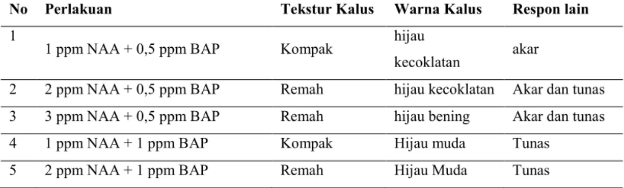 Tabel 2. Tekstur dan warna kalus, serta respon lain eksplan daun krisan   (C. morifolium Ramat cv
