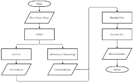 Gambar 3.1  Diagram alir program.