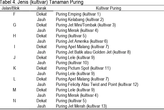 Tabel 4. Jenis (kultivar) Tanaman Puring 