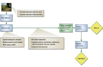 Gambar 2.3 Skema Proses Produksi Bioetanol [36] 