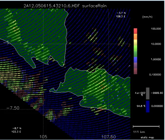 Gambar 1. Contoh data satelit TRMM untuk layer hujan permukaan (Surface Rain). 