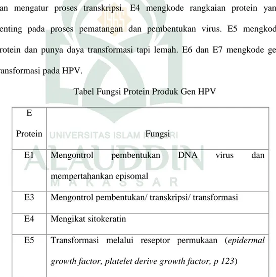 Tabel Fungsi Protein Produk Gen HPV E