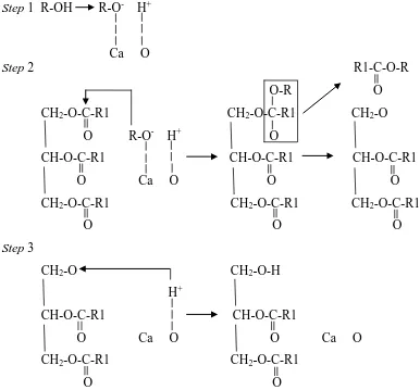 Gambar 2.1 Reaksi Transesterifikasi Trigliserida Menggunakan CaO [4]