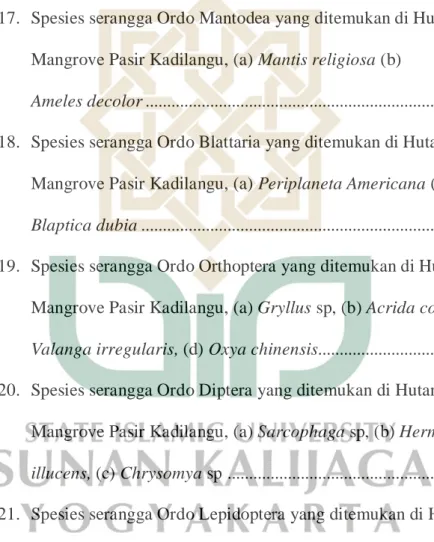 Gambar 16.  Spesies serangga Ordo Hemiptera yang ditemukan di Hutan  Mangrove Pasir Kadilangu, (a) Laptocorisa oratoris, (b)  Lawana candida, (c) Siphanta acuta, (d) Coptosoma sp,  (e) Halyomorpha halys, (f) Leptoglossus phyllopus, (g) 
