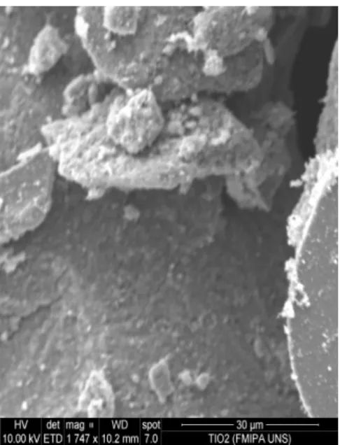 Gambar 3. Uji SEM TiO